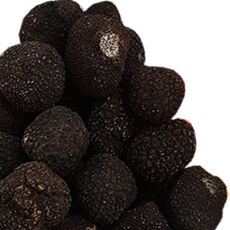 Truffes noires fraîches 50g ( petites truffes moins de 15 grammes )