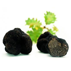 Truffes noires fraîches 1er choix 50g - Tuber Mélanosporum