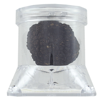 Boite de conservation pour truffes fraîches "Tuber pack"
