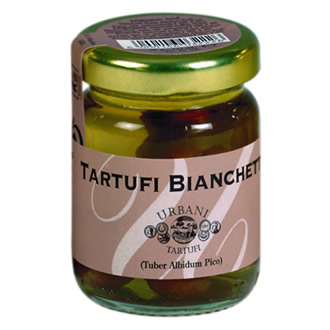 Truffes Bianchetti (Tuber Borchii)