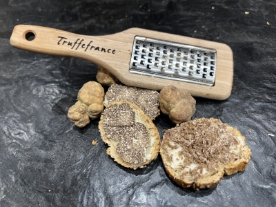 Une truffe blanche à découvrir absolument : la Bianchetti